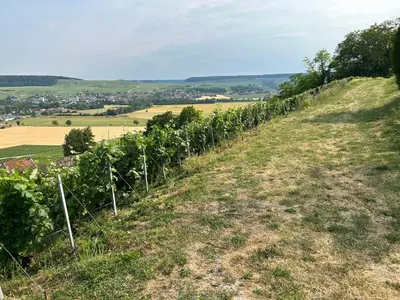 Paysage naturel près de la maison de vacances