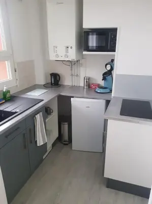 Cuisine ou kitchenette dans l'établissement Le studio du quai