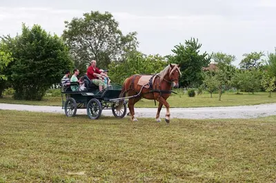 Clients de l'établissement Le chalet dans la prairie