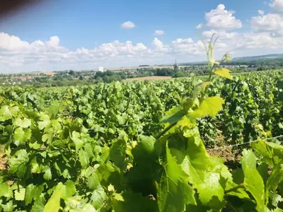 Paysage naturel près de la maison de vacances