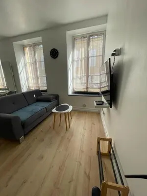 Télévision ou salle de divertissement dans l'établissement Appartement Le Petit Charcot