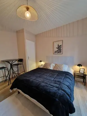 Un ou plusieurs lits dans un hébergement de l'établissement L'Appartement Paul - proche gare centre & Arena