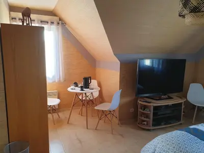 Télévision ou salle de divertissement dans l'établissement Les Pressoirs