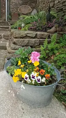 Jardin de l'établissement Gite de la semoy