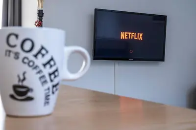 Télévision ou salle de divertissement dans l'établissement Appartement cosy face à la basilique Saint Remi