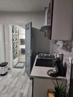 Cuisine ou kitchenette dans l'établissement Studio Quai 1 Voie A parking gratuit