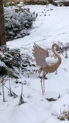 Animaux dans le B&B/chambre d'hôtes ou à proximité