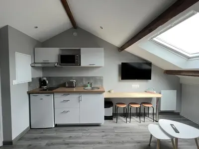 Cuisine ou kitchenette dans l'établissement Studio entièrement rénové