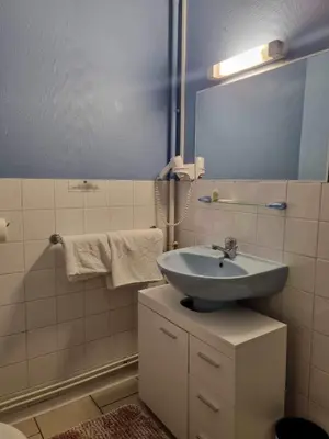 Salle de bains dans l'établissement Auberge de la Forêt
