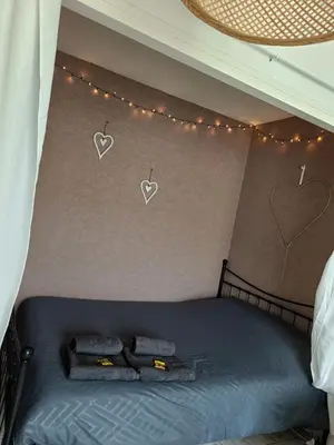 Un ou plusieurs lits dans un hébergement de l'établissement Couturier lovely appartement proche centre ville