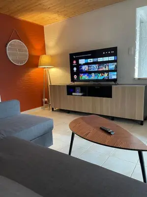 Télévision ou salle de divertissement dans l'établissement Les berges du canal, maison avec Jacuzzi
