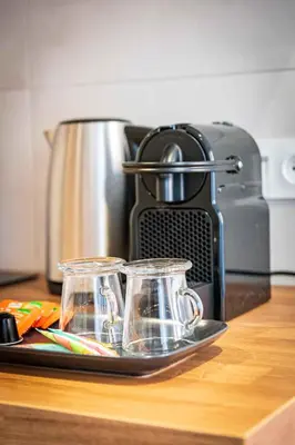 Cuisine ou kitchenette dans l'établissement L'Albatros 008 - Hypercentre Cosy Wifi