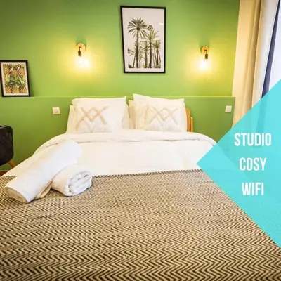Un ou plusieurs lits dans un hébergement de l'établissement L'Albatros 001 - Hypercentre * Cosy * Wifi