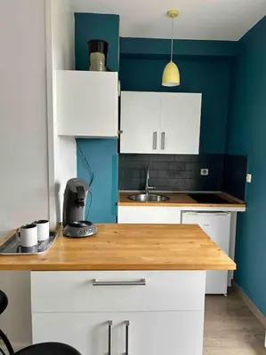 Cuisine ou kitchenette dans l'établissement Studio- avec parking- proche Cathedrale