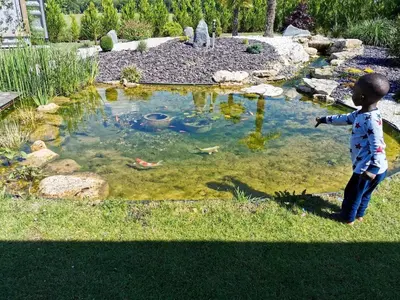 Plan de l'établissement Maison de charme à Frétoy-le-Château avec jardin et jacuzzi