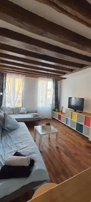 Télévision ou salle de divertissement dans l'établissement Superbe Studio Bord de Marne