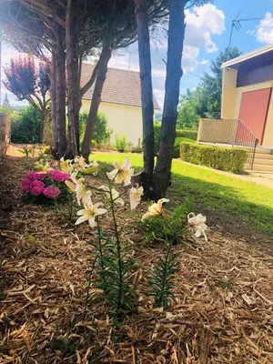 Jardin de l'établissement Gite du pommerat