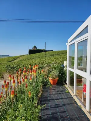 Jardin de l'établissement Looking Flor en Champagne