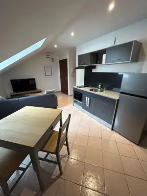 Cuisine ou kitchenette dans l'établissement Hyper centre petit diamérisma