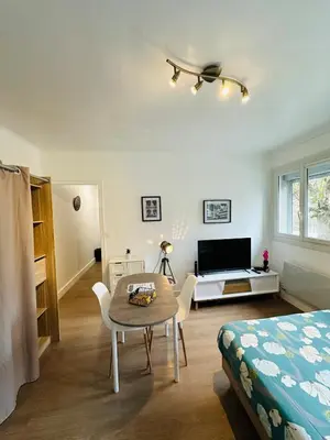 Télévision ou salle de divertissement dans l'établissement Le Petit Gambetta