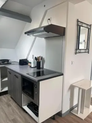 Cuisine ou kitchenette dans l'établissement Superbe loft neuf - 1 chambre- face au Château - RIMBAUD