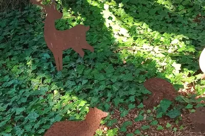 Jardin de l'établissement Micro maison ISBA Sedan