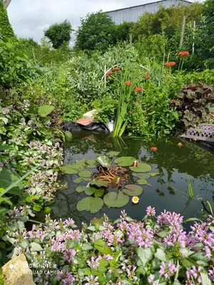 Jardin de l'établissement La FERME DU TILLEUL Chambres d hôtes tout conforts - familiale - entre amis - pro