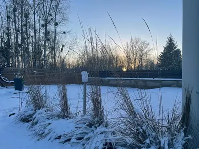 L'établissement GITE DES MARAIS en hiver