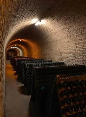 Plan de l'établissement Au cœur du vignoble champenois