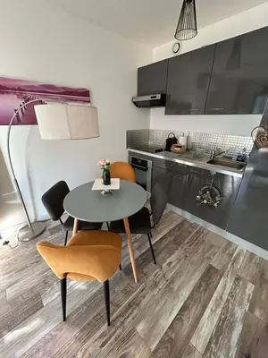 Cuisine ou kitchenette dans l'établissement F2 Hypercentre Terrasse Talleyrand