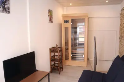 Télévision ou salle de divertissement dans l'établissement Maison atypique, centre-ville 2+2 pers Sauna IR
