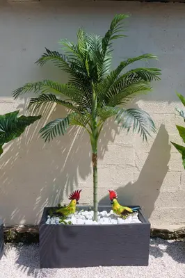 Plan de l'établissement L'Escale Tropicale, appartement indépendant avec terrasse privative