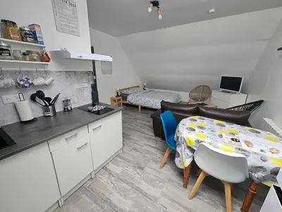 Cuisine ou kitchenette dans l'établissement Studios du Cèdre