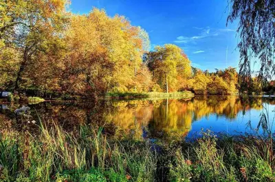 Paysage naturel près de l'appartement