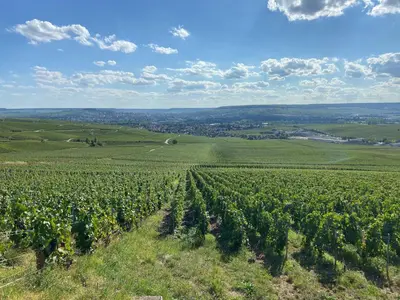 Paysage naturel près de l'appartement