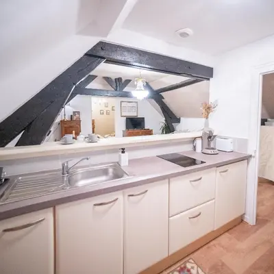 Cuisine ou kitchenette dans l'établissement LE CHAMPAGNE PALACE - HYPER CENTRE d'ÉPERNAY