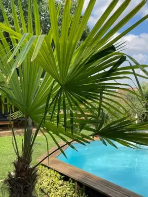 Piscine de l'établissement Choisy le Jacuzzi ou située à proximité