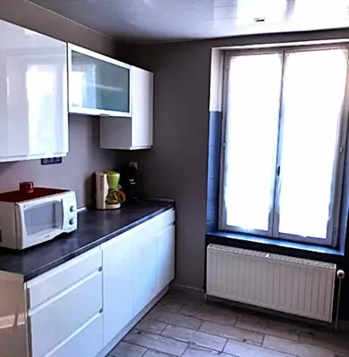 Cuisine ou kitchenette dans l'établissement Le roseau a plumes