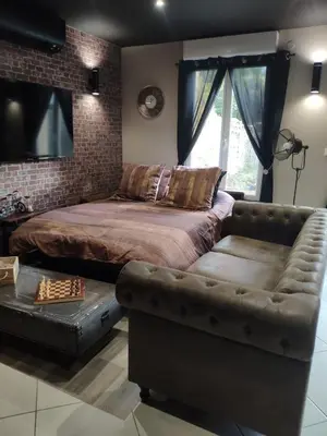 Coin salon dans l'établissement LE MANHATTAN Authentique maison climatisée 78 m2