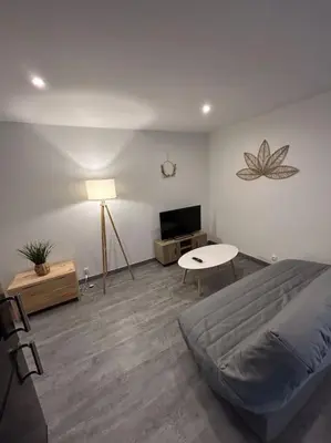 Télévision ou salle de divertissement dans l'établissement Au Petit Faubourg