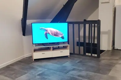Télévision ou salle de divertissement dans l'établissement Tulsa Home - Comme à la maison, Appartement 1 chambre