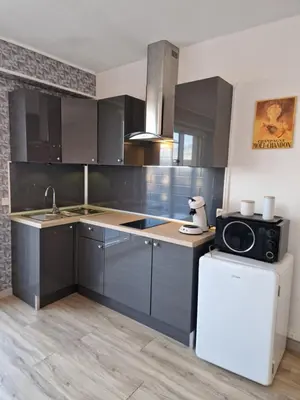 Cuisine ou kitchenette dans l'établissement Studio avenue de Champagne