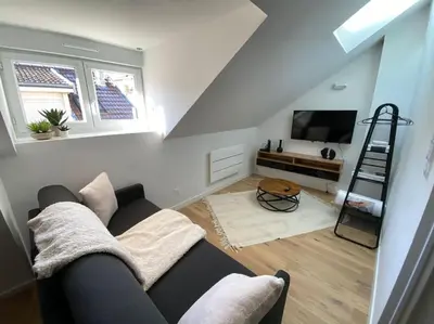 Télévision ou salle de divertissement dans l'établissement Appartement - Le cocon Rémois