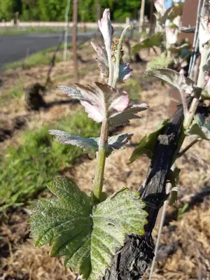 Jardin de l'établissement Gite du Paradis
