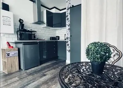 Cuisine ou kitchenette dans l'établissement Orphelin studio avec Balnéo proche centre ville