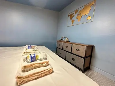 Un ou plusieurs lits dans un hébergement de l'établissement Landouzy maison centre ville
