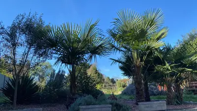 Jardin de l'établissement La Maison Angèle