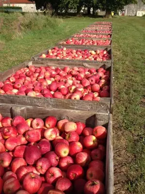 Plan de l'établissement Gîte à la ferme