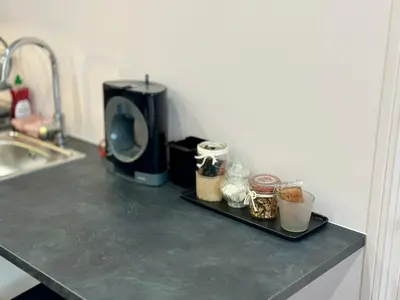 Cuisine ou kitchenette dans l'établissement Studio Millésime