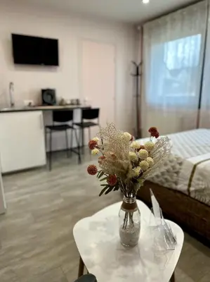 Cuisine ou kitchenette dans l'établissement Studio Millésime